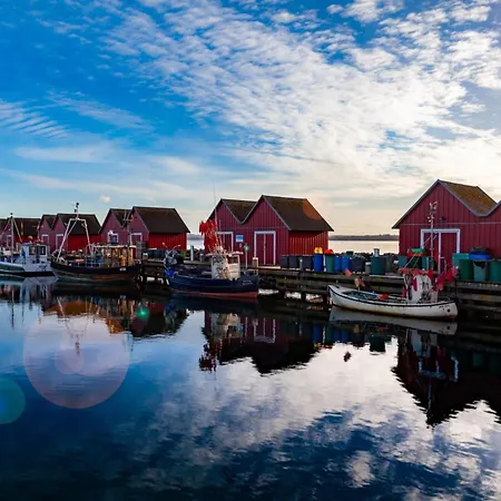 Kastanienhof Whg 07 公寓 博尔滕哈根